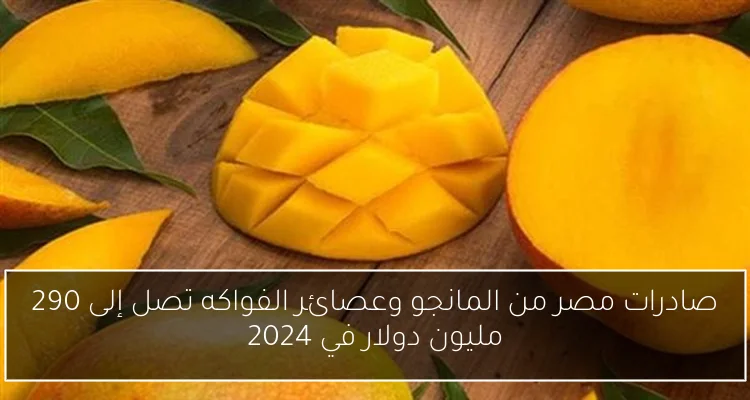 صادرات مصر من المانجو وعصائر الفواكه تصل إلى 290 مليون دولار في 2024