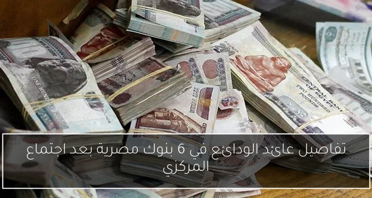 تفاصيل عائد الودائع في 6 بنوك مصرية بعد اجتماع المركزي