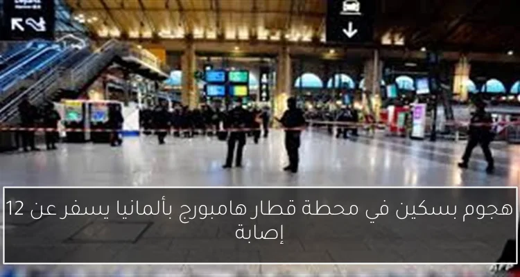 هجوم بسكين في محطة قطار هامبورج بألمانيا يسفر عن 12 إصابة