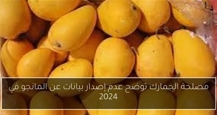 مصلحة الجمارك توضح عدم إصدار بيانات عن المانجو في 2024