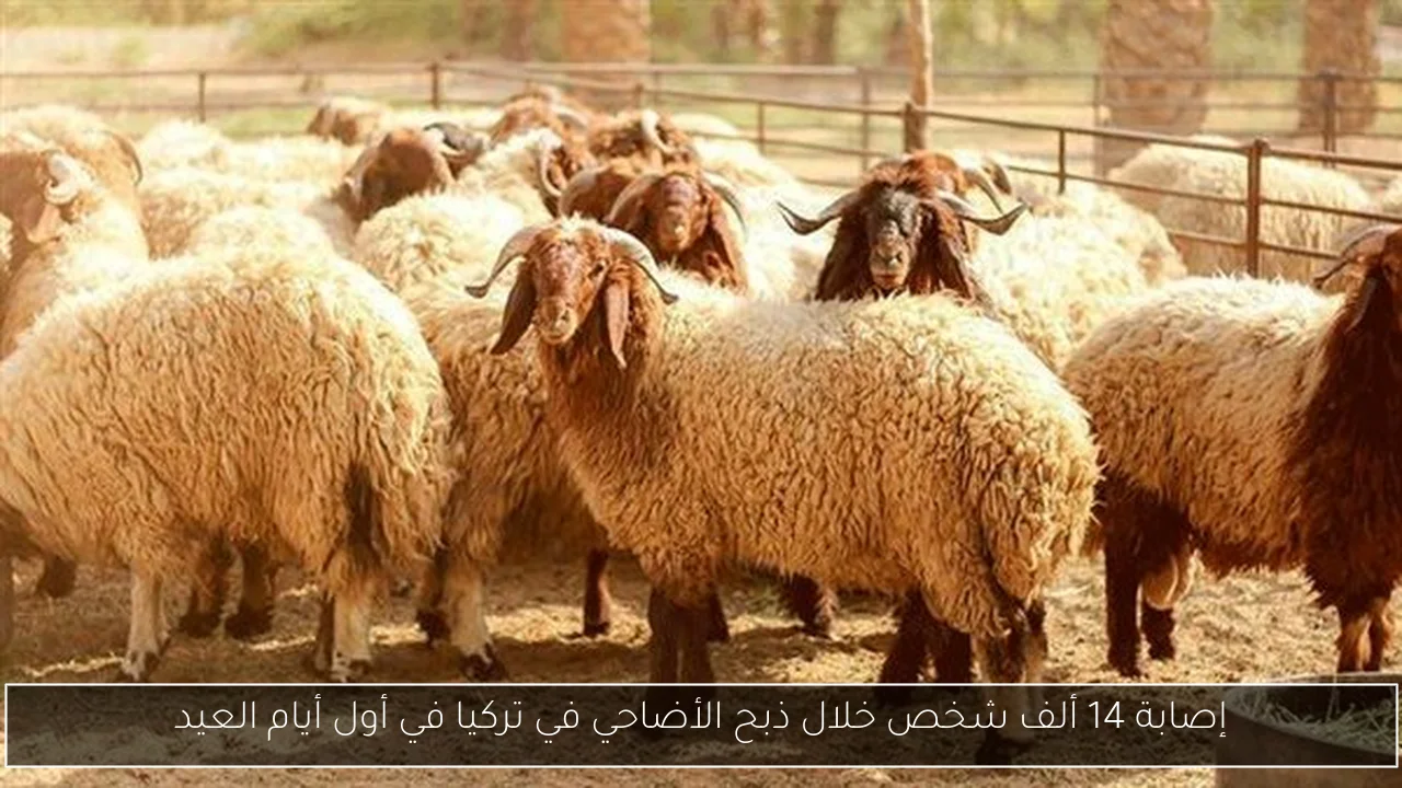 خبراء يثمنون برنامج رد أعباء التصدير الجديد ويعززون تنافسية المنتجات