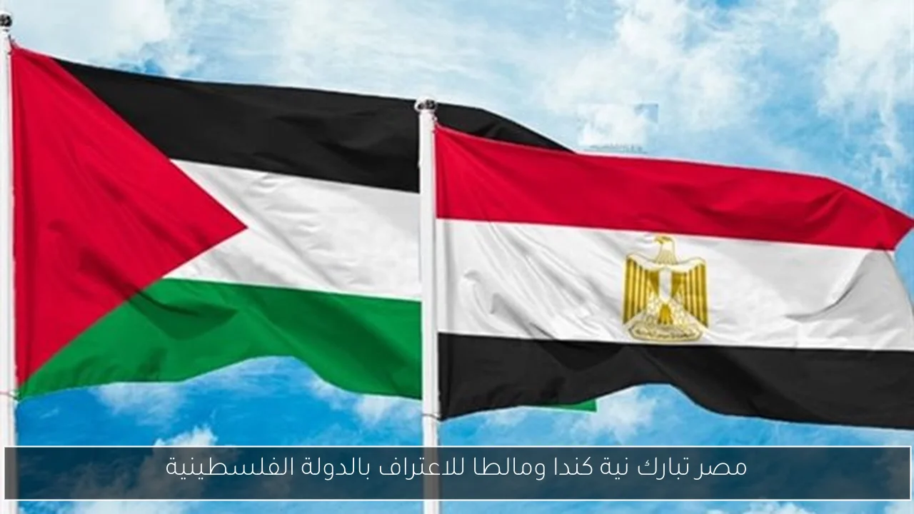 مصر تبارك نية كندا ومالطا للاعتراف بالدولة الفلسطينية