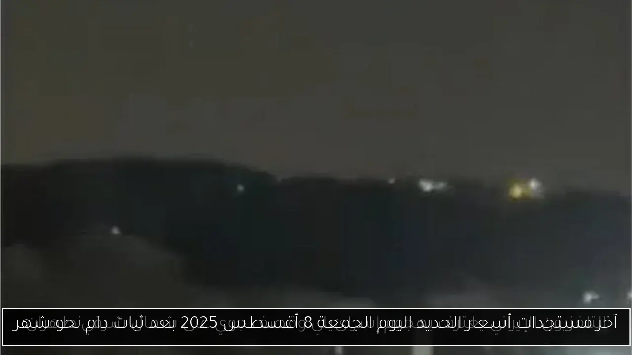 آخر مستجدات أسعار الحديد اليوم الجمعة 8 أغسطس 2025 بعد ثبات دام نحو شهر