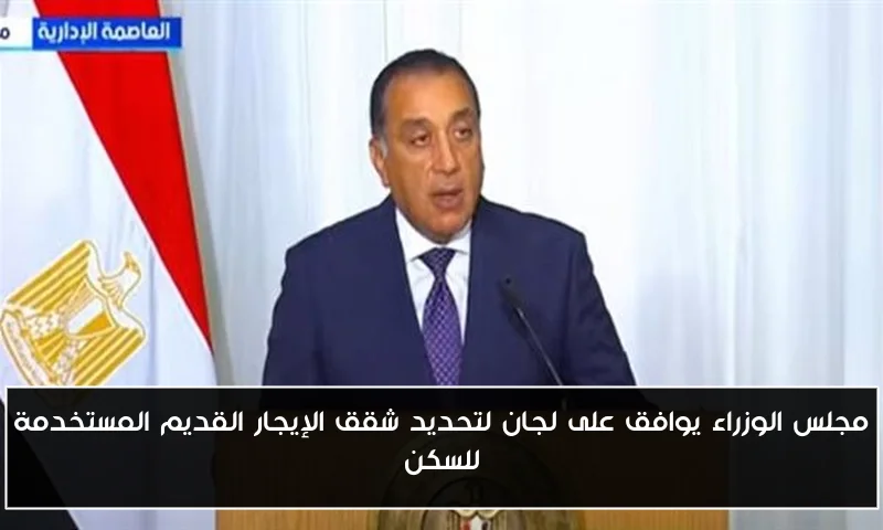 مجلس الوزراء يوافق على لجان لتحديد شقق الإيجار القديم المستخدمة للسكن