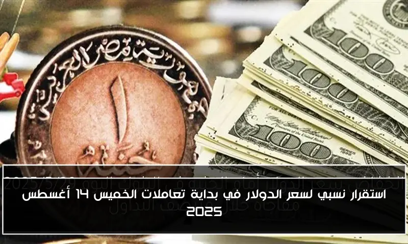 استقرار نسبي لسعر الدولار في بداية تعاملات الخميس 14 أغسطس 2025