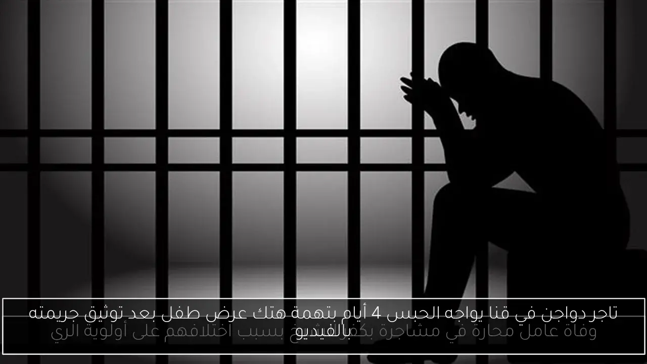 تاجر دواجن في قنا يواجه الحبس 4 أيام بتهمة هتك عرض طفل بعد توثيق جريمته بالفيديو