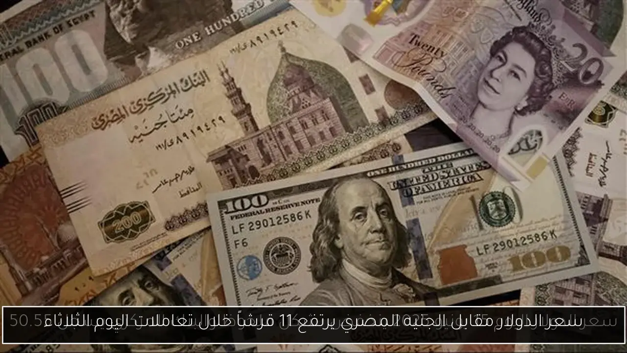 سعر الدولار مقابل الجنيه المصري يرتفع 11 قرشاً خلال تعاملات اليوم الثلاثاء