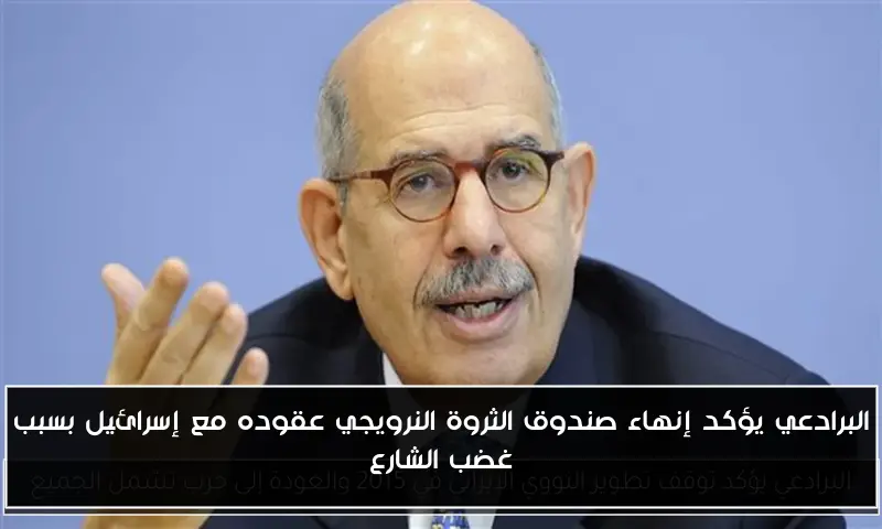 البرادعي يؤكد إنهاء صندوق الثروة النرويجي عقوده مع إسرائيل بسبب غضب الشارع