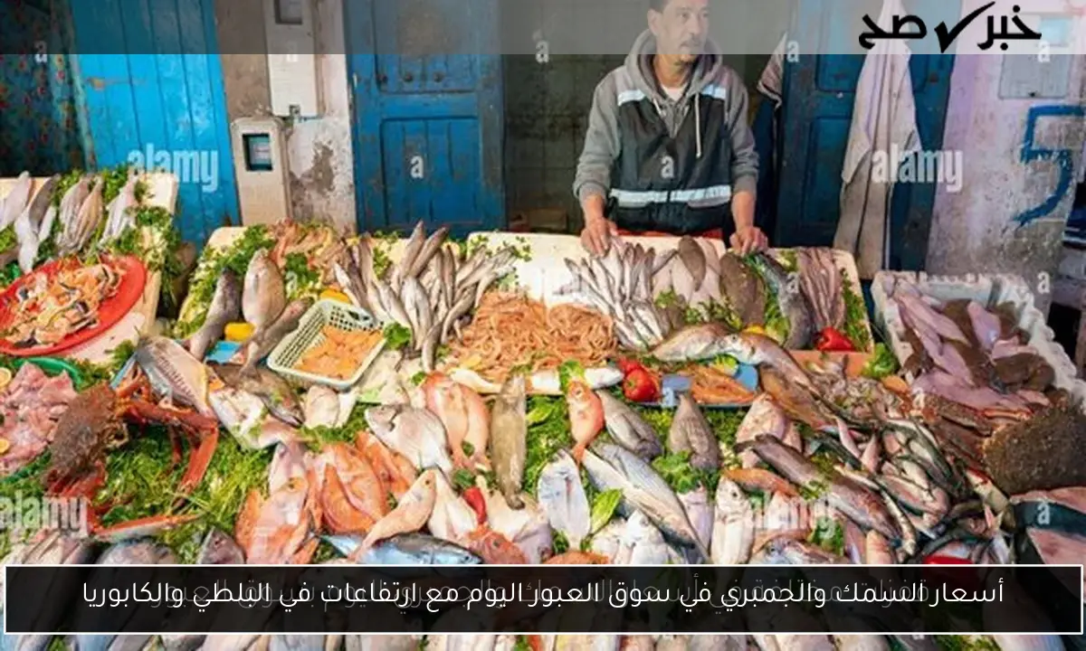 أسعار السمك والجمبري في سوق العبور اليوم مع ارتفاعات في البلطي والكابوريا