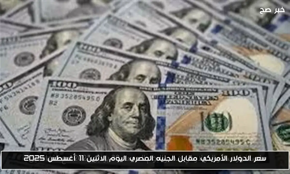 سعر الدولار الأمريكي مقابل الجنيه المصري اليوم الاثنين 11 أغسطس 2025