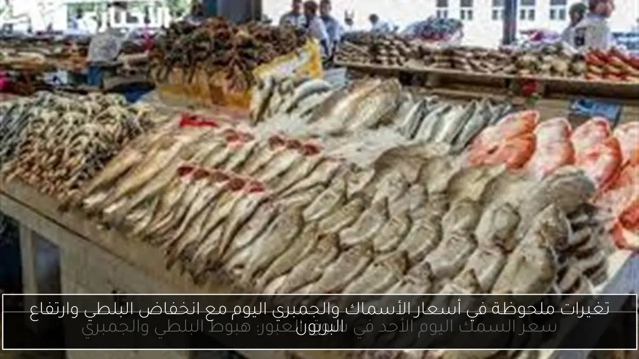 تغيرات ملحوظة في أسعار الأسماك والجمبري اليوم مع انخفاض البلطي وارتفاع البربون