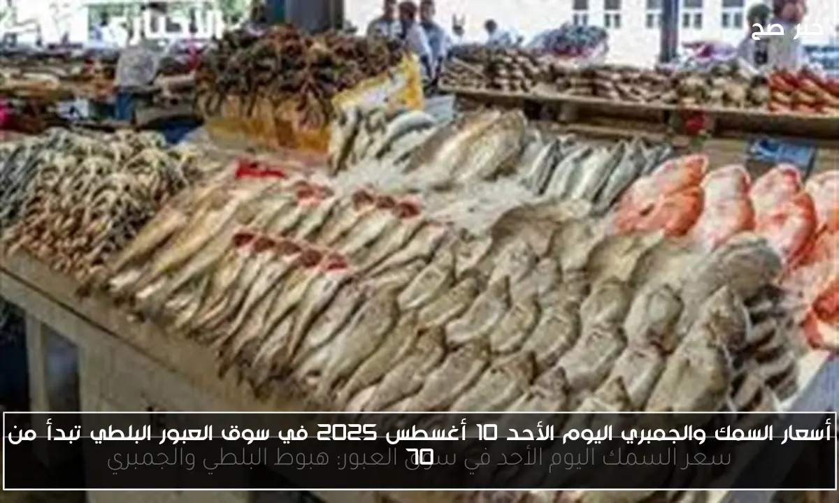 أسعار السمك والجمبري اليوم الأحد 10 أغسطس 2025 في سوق العبور البلطي تبدأ من 70