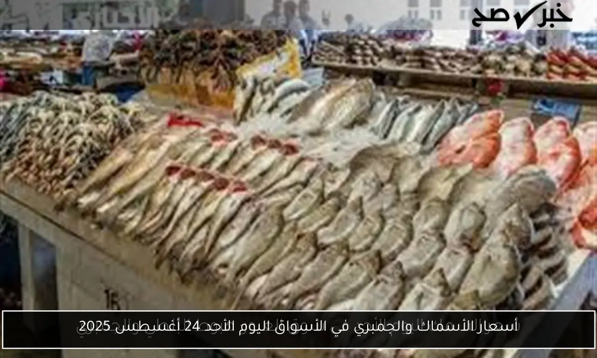 أسعار الأسماك والجمبري في الأسواق اليوم الأحد 24 أغسطس 2025