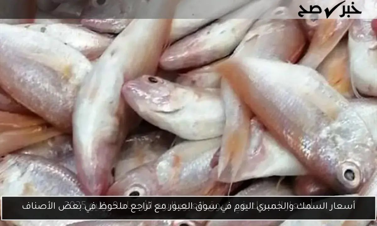 أسعار السمك والجمبري اليوم في سوق العبور مع تراجع ملحوظ في بعض الأصناف