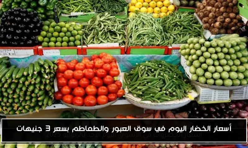 أسعار الخضار اليوم في سوق العبور والطماطم بسعر 3 جنيهات