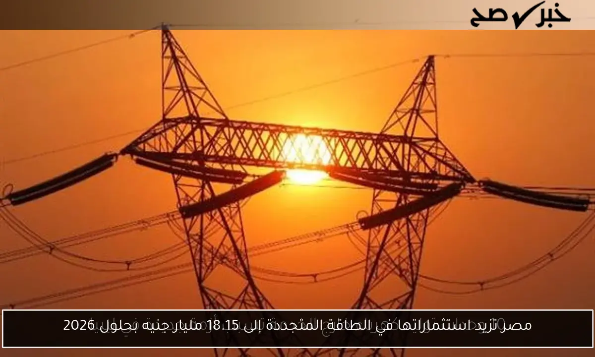 مصر تزيد استثماراتها في الطاقة المتجددة إلى 18.15 مليار جنيه بحلول 2026