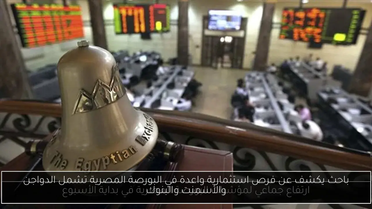 باحث يكشف عن فرص استثمارية واعدة في البورصة المصرية تشمل الدواجن والأسمنت والبنوك