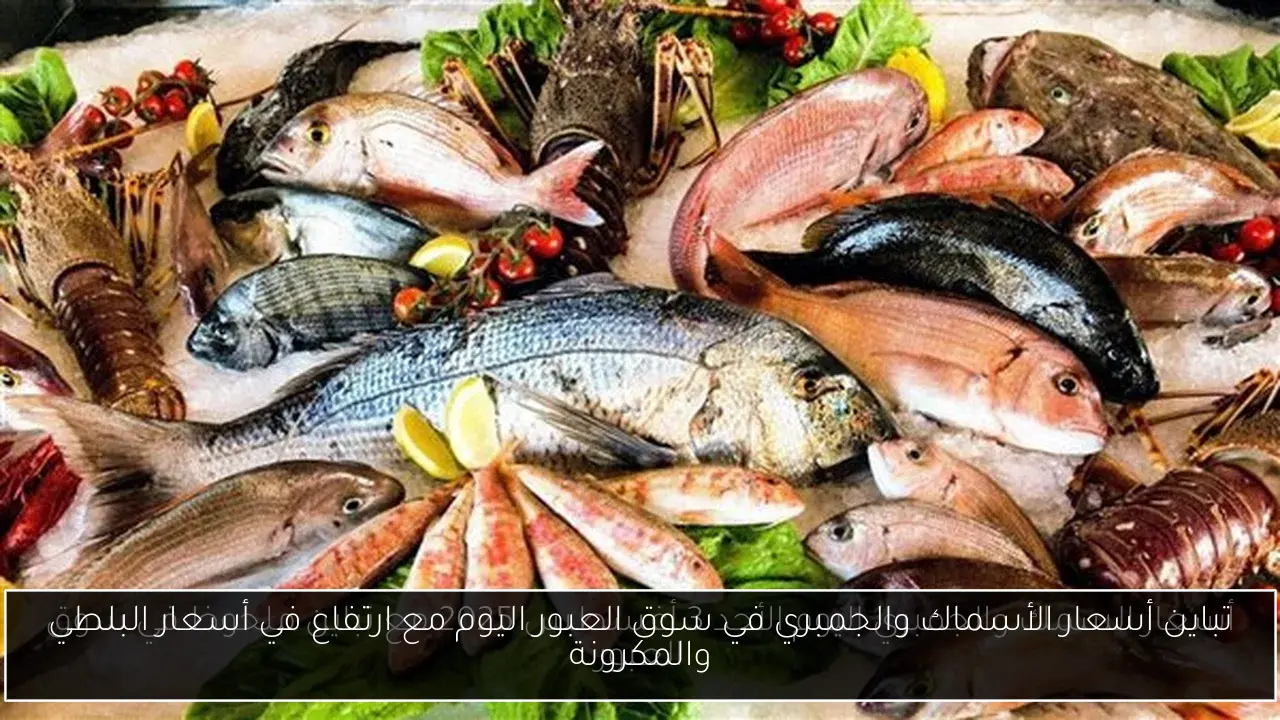 تباين أسعار الأسماك والجمبري في سوق العبور اليوم مع ارتفاع في أسعار البلطي والمكرونة