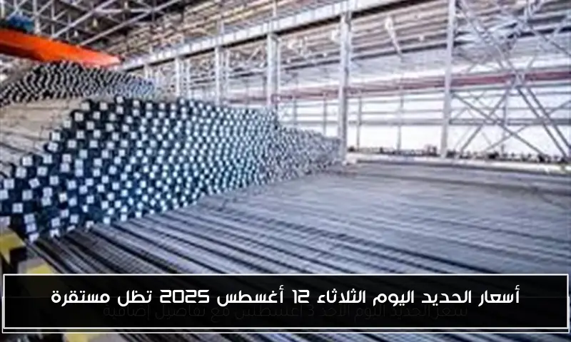 أسعار الحديد اليوم الثلاثاء 12 أغسطس 2025 تظل مستقرة