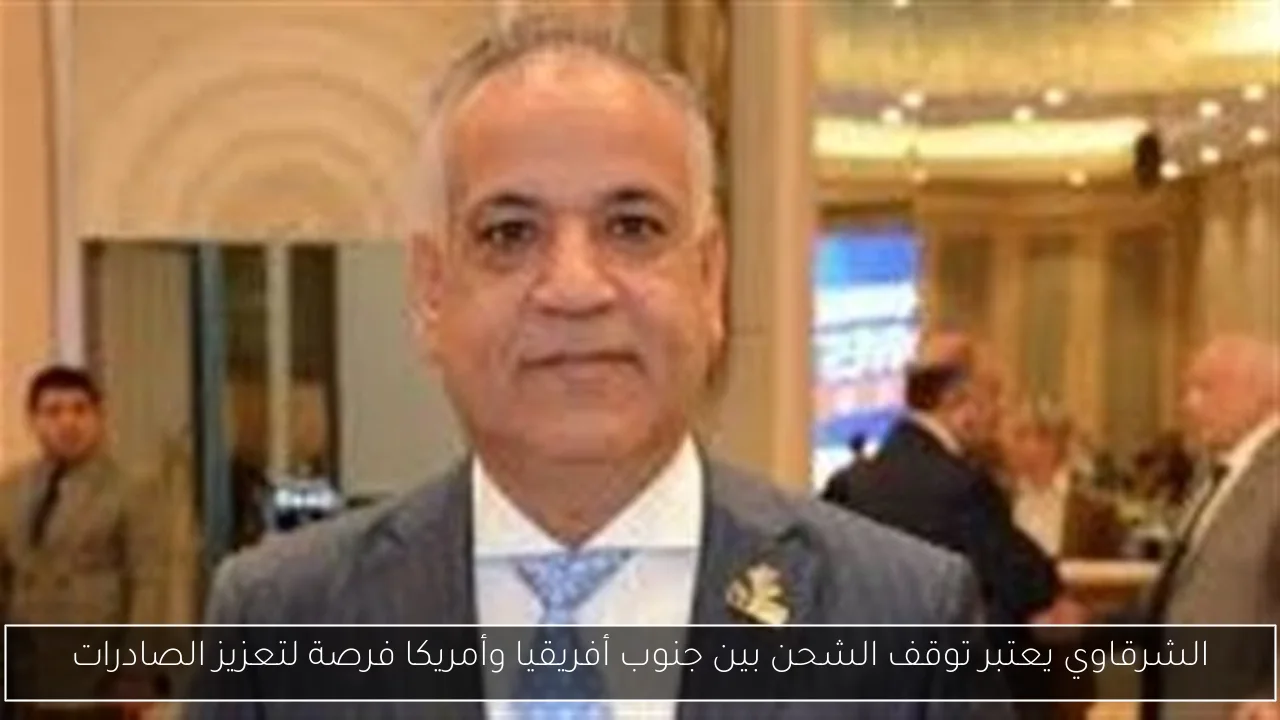 الشرقاوي يعتبر توقف الشحن بين جنوب أفريقيا وأمريكا فرصة لتعزيز الصادرات