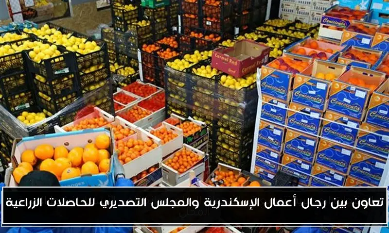 تعاون بين رجال أعمال الإسكندرية والمجلس التصديري للحاصلات الزراعية