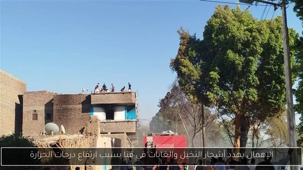 الإهمال يهدد أشجار النخيل والغابات في قنا بسبب ارتفاع درجات الحرارة