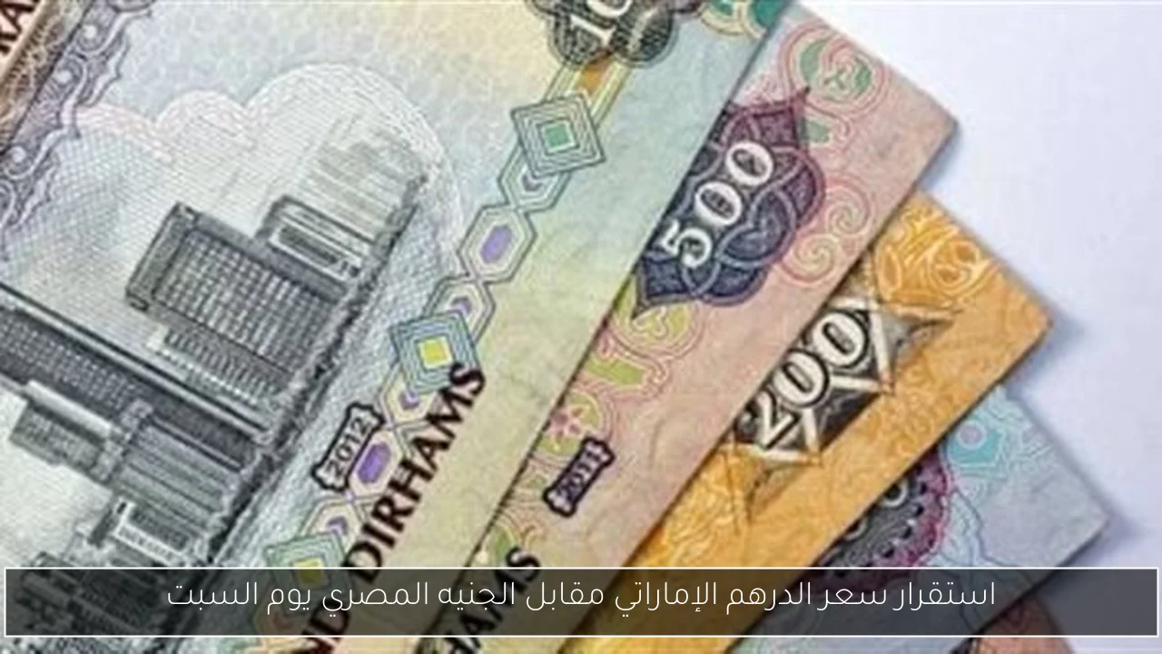 استقرار سعر الدرهم الإماراتي مقابل الجنيه المصري يوم السبت