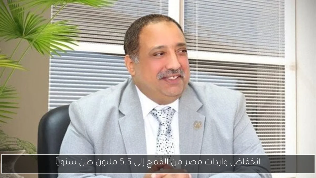انخفاض واردات مصر من القمح إلى 5.5 مليون طن سنوياً