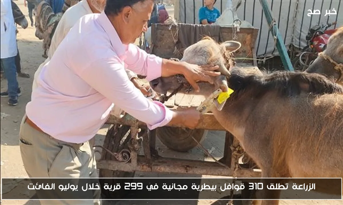 الزراعة تطلق 310 قوافل بيطرية مجانية في 299 قرية خلال يوليو الفائت