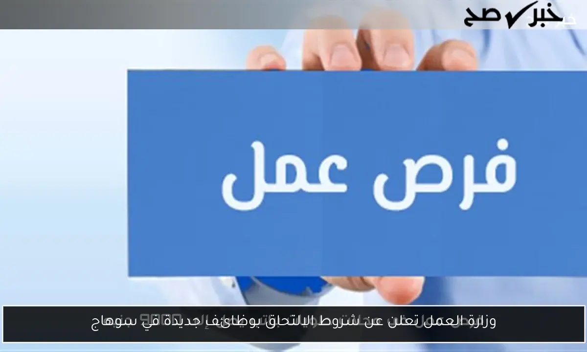 وزارة العمل تعلن عن شروط الالتحاق بوظائف جديدة في سوهاج
