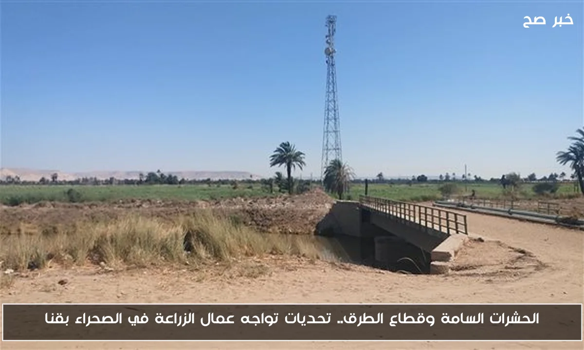 الحشرات السامة وقطاع الطرق.. تحديات تواجه عمال الزراعة في الصحراء بقنا