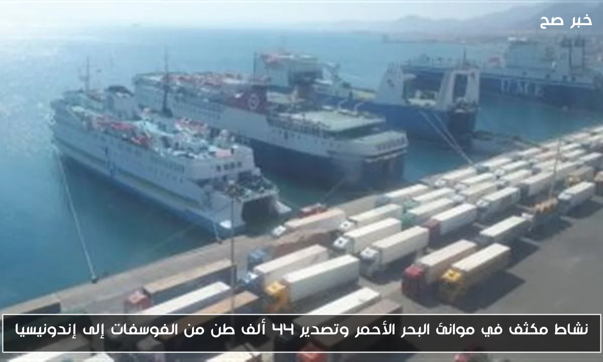 نشاط مكثف في موانئ البحر الأحمر وتصدير 44 ألف طن من الفوسفات إلى إندونيسيا