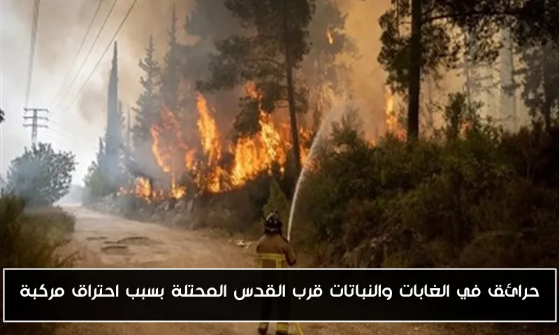 حرائق في الغابات والنباتات قرب القدس المحتلة بسبب احتراق مركبة