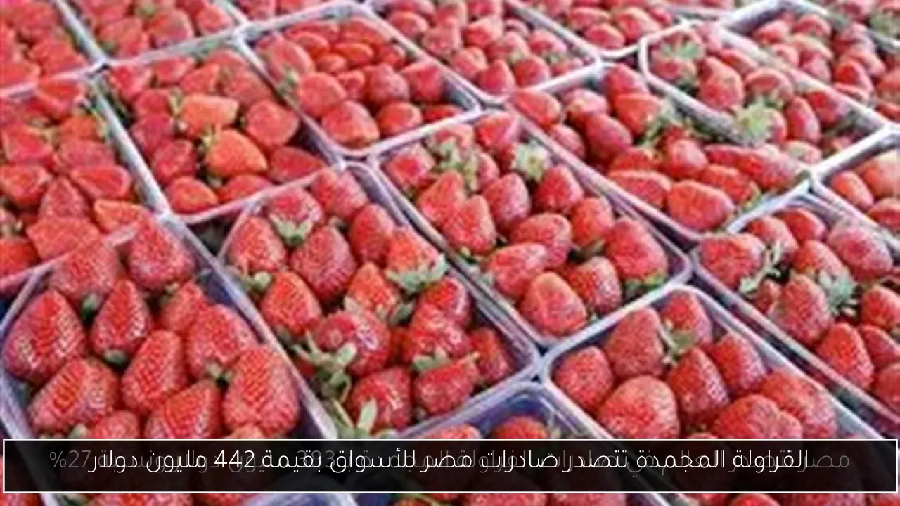 الفراولة المجمدة تتصدر صادرات مصر للأسواق بقيمة 442 مليون دولار