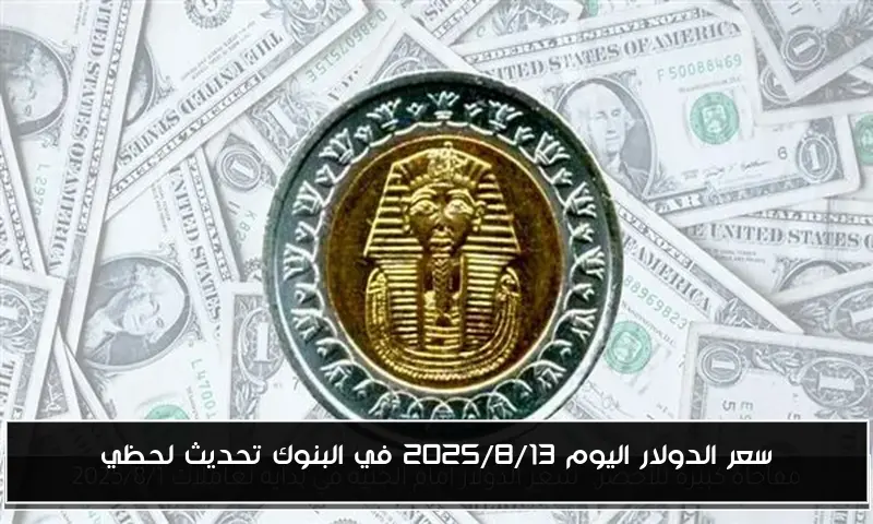 سعر الدولار اليوم 2025/8/13 في البنوك تحديث لحظي