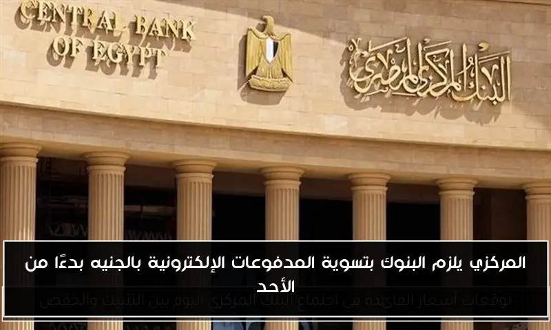المركزي يلزم البنوك بتسوية المدفوعات الإلكترونية بالجنيه بدءًا من الأحد