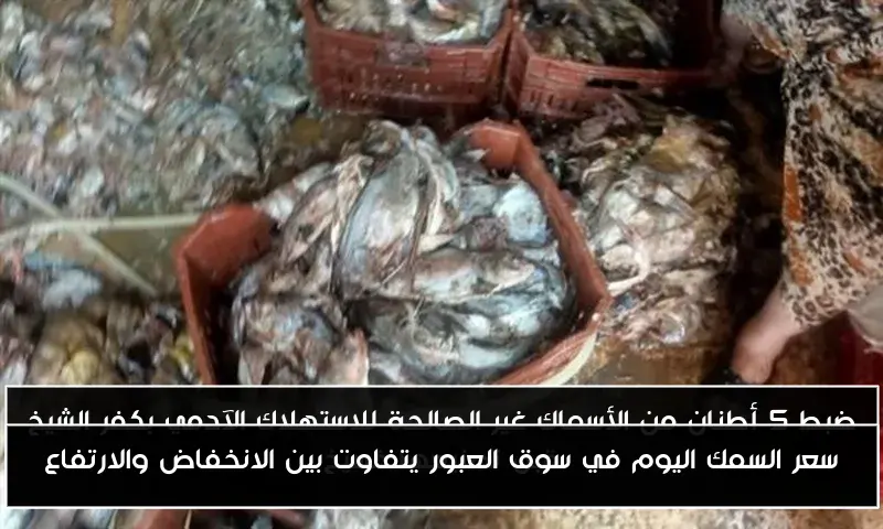 سعر السمك اليوم في سوق العبور يتفاوت بين الانخفاض والارتفاع