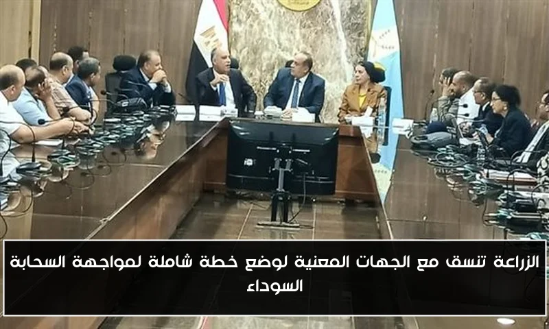 الزراعة تنسق مع الجهات المعنية لوضع خطة شاملة لمواجهة السحابة السوداء