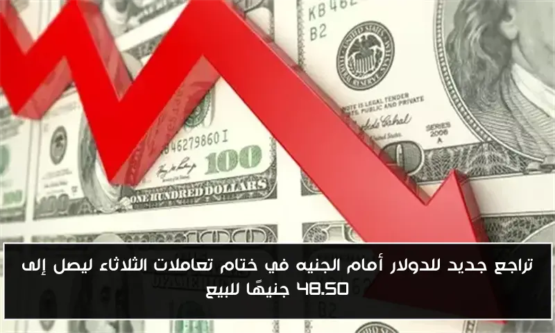تراجع جديد للدولار أمام الجنيه في ختام تعاملات الثلاثاء ليصل إلى 48.50 جنيهًا للبيع