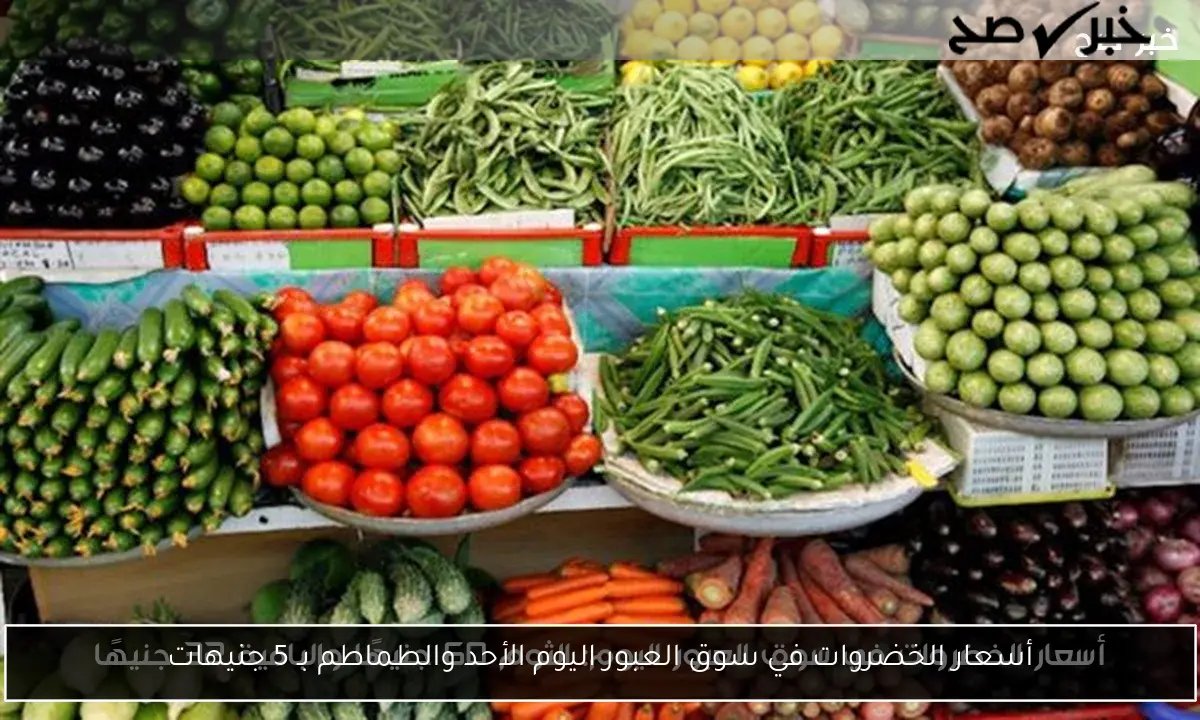 أسعار الخضروات في سوق العبور اليوم الأحد والطماطم بـ 5 جنيهات