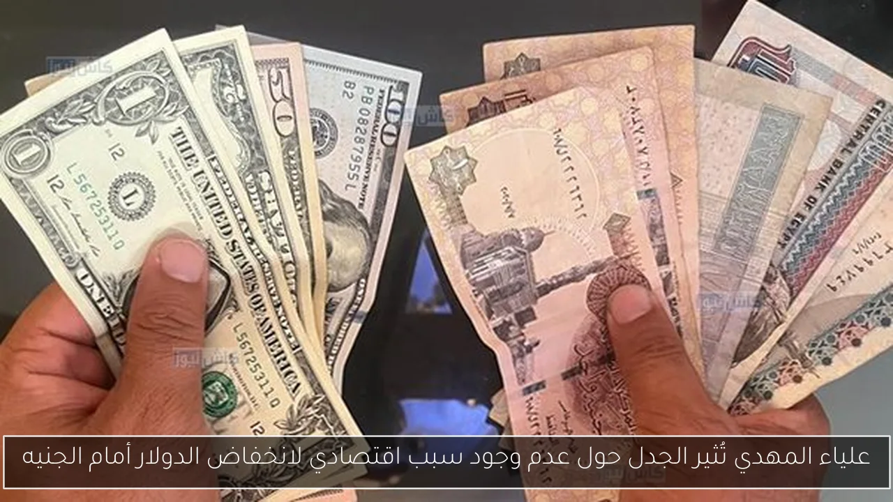 علياء المهدي تُثير الجدل حول عدم وجود سبب اقتصادي لانخفاض الدولار أمام الجنيه