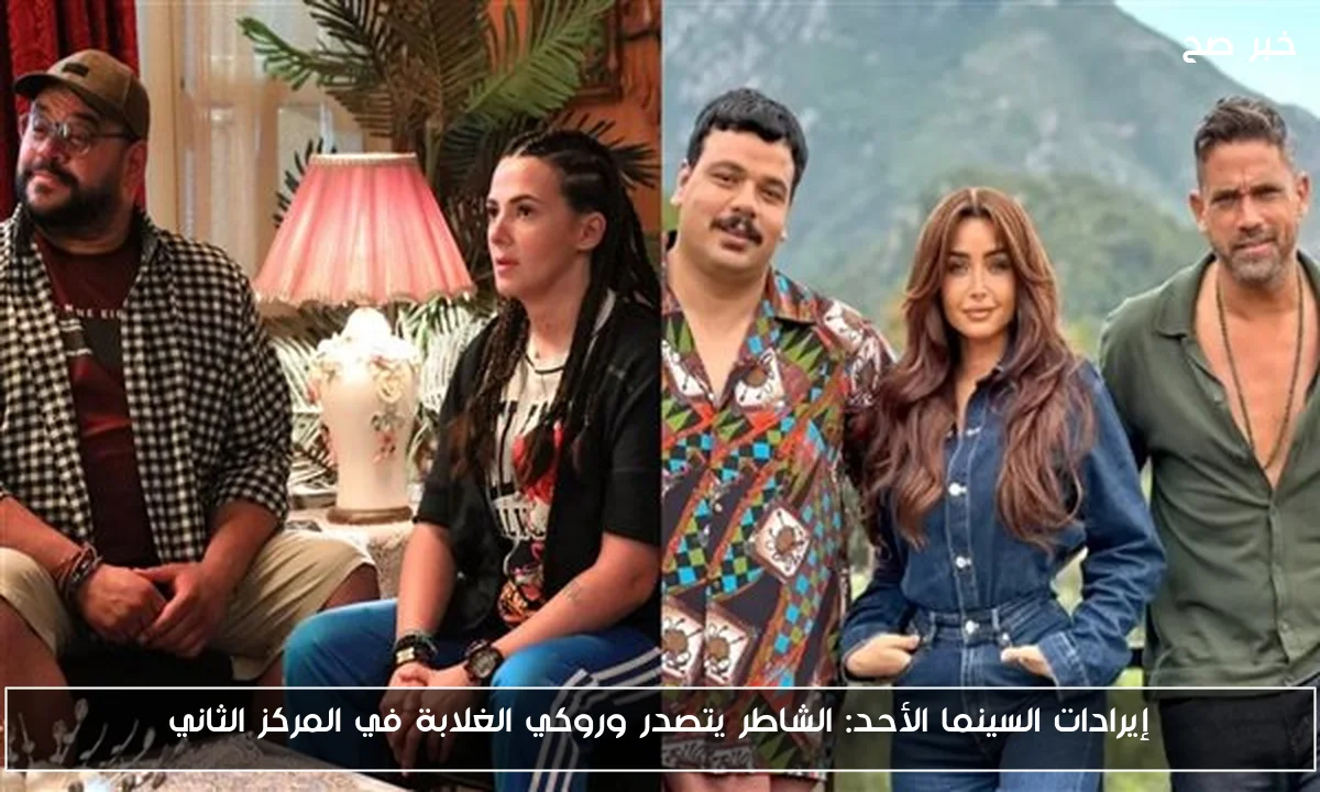 إيرادات السينما الأحد: الشاطر يتصدر وروكي الغلابة في المركز الثاني