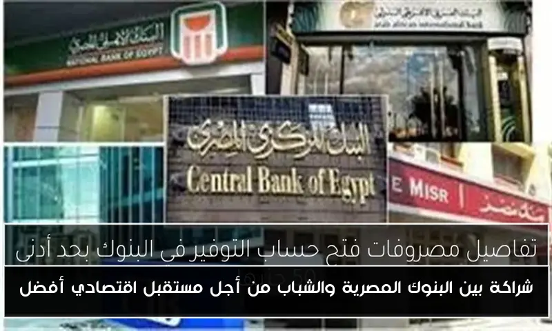 شراكة بين البنوك المصرية والشباب من أجل مستقبل اقتصادي أفضل