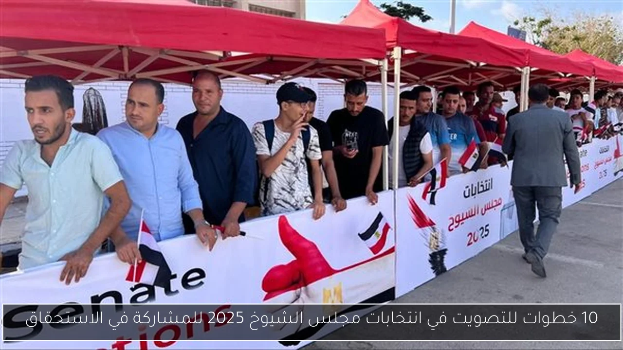 10 خطوات للتصويت في انتخابات مجلس الشيوخ 2025 للمشاركة في الاستحقاق