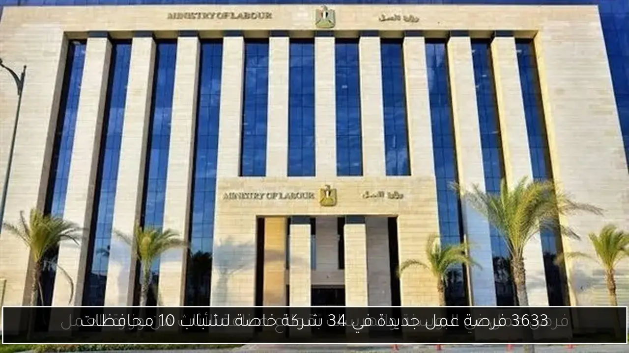 3633 فرصة عمل جديدة في 34 شركة خاصة لشباب 10 محافظات