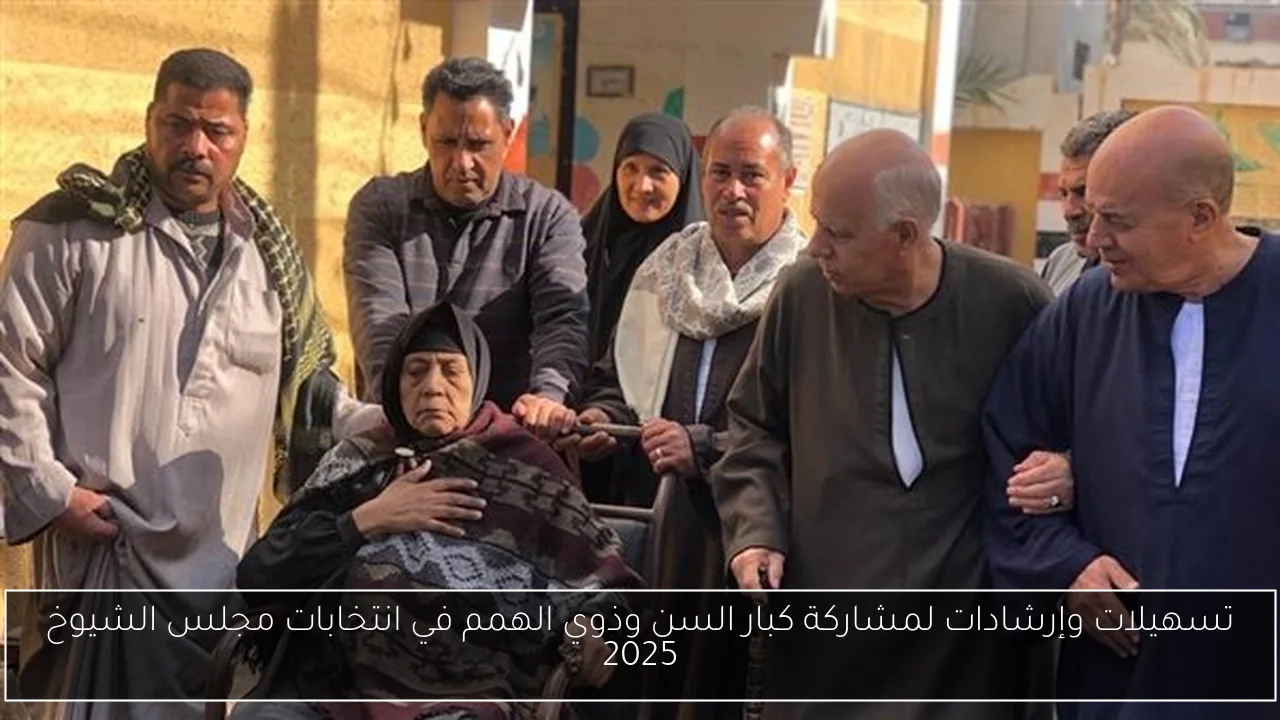 تسهيلات وإرشادات لمشاركة كبار السن وذوي الهمم في انتخابات مجلس الشيوخ 2025