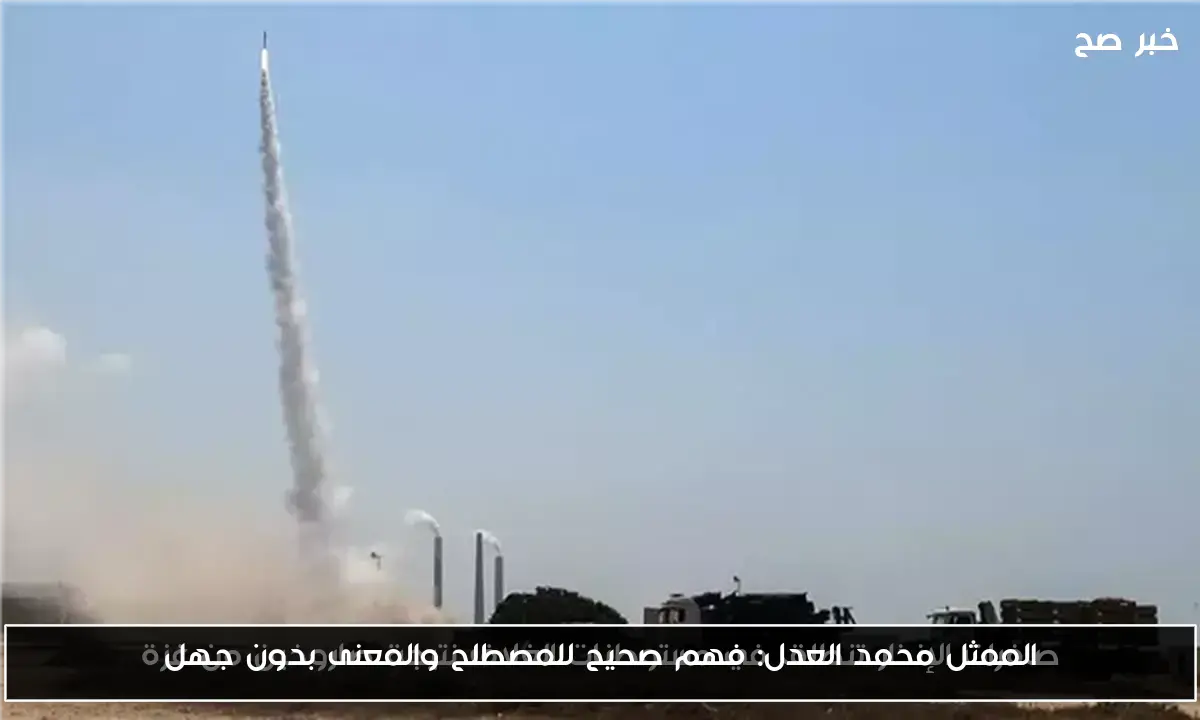 الممثل محمد العدل: فهم صحيح للمصطلح والمعنى بدون جهل