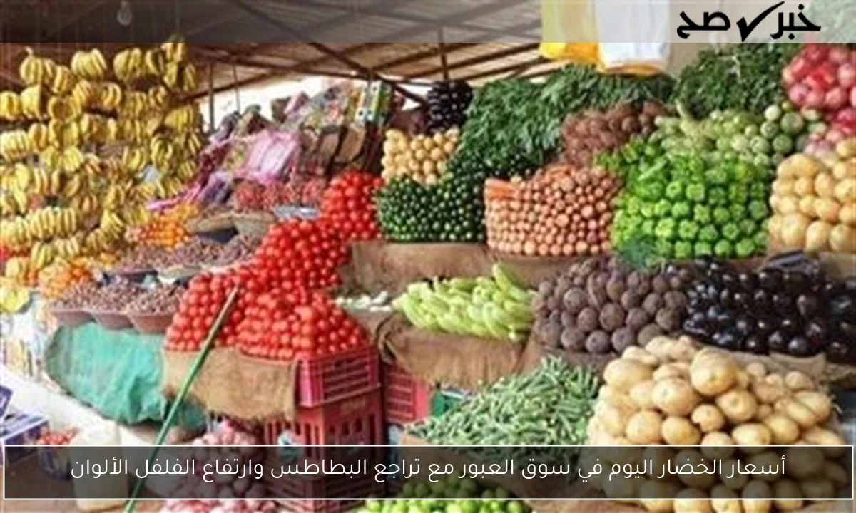 أسعار الخضار اليوم في سوق العبور مع تراجع البطاطس وارتفاع الفلفل الألوان