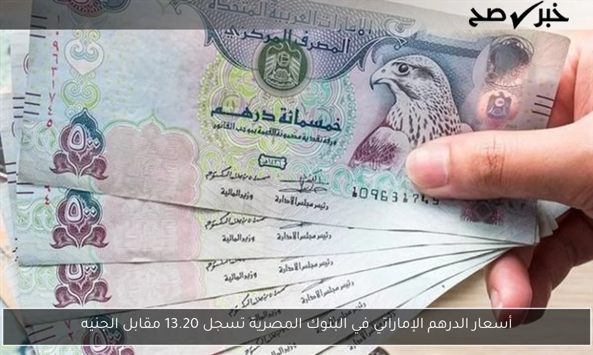 أسعار الدرهم الإماراتي في البنوك المصرية تسجل 13.20 مقابل الجنيه