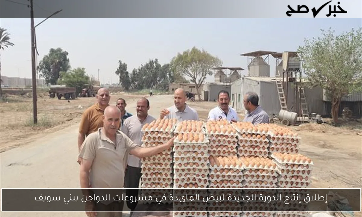 إطلاق إنتاج الدورة الجديدة لبيض المائدة في مشروعات الدواجن ببني سويف